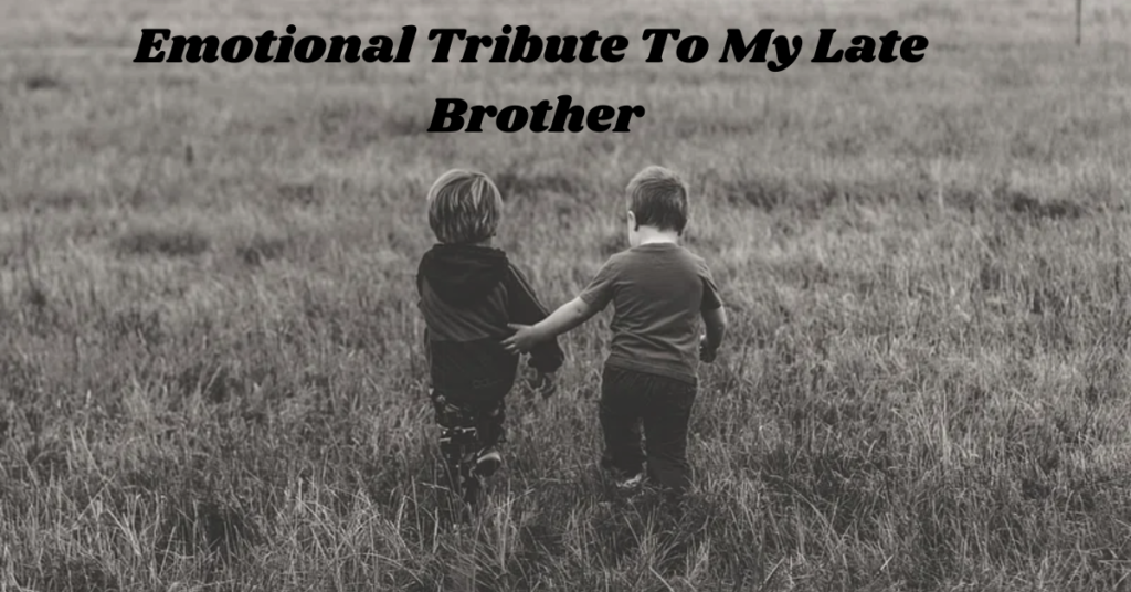 Emotional Tribute To My Late Brother