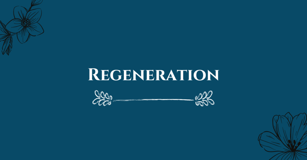 2. Regeneration
