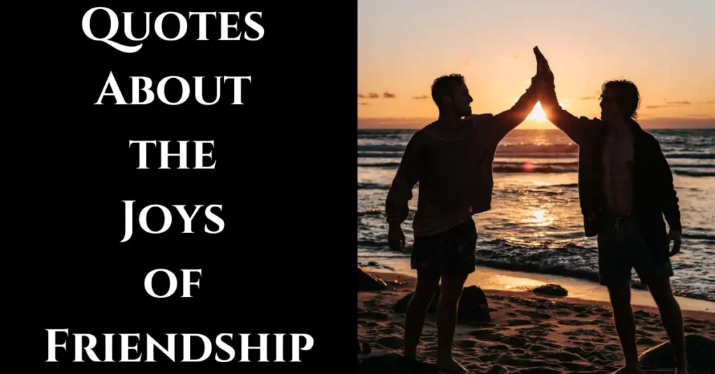 Quotes About the Joys of Friendship