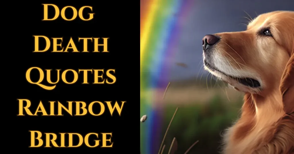 Dog Death Quotes Rainbow Bridge