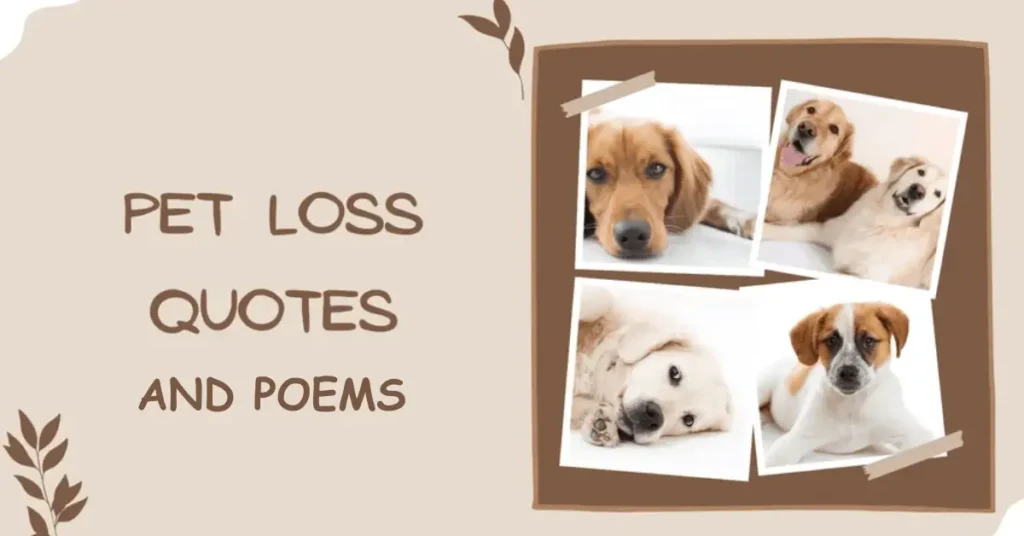 Pet Loss Quotes and Poems