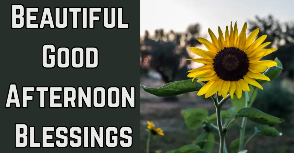 Beautiful Good Afternoon Blessings